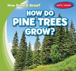 How Do Pine Trees Grow?