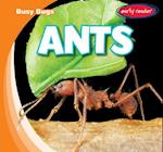 Ants