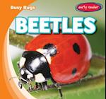 Beetles