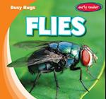 Flies