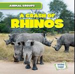 A Crash of Rhinos