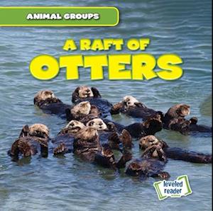 Raft of Otters