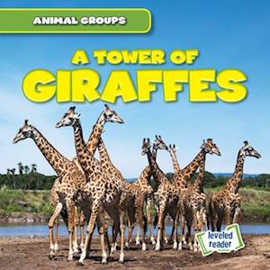 Tower of Giraffes