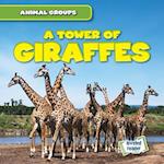 Tower of Giraffes