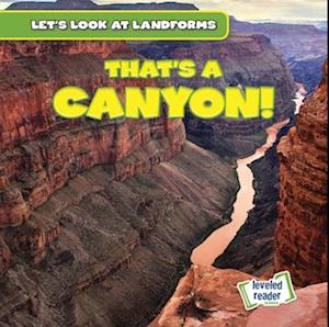 That's a Canyon!