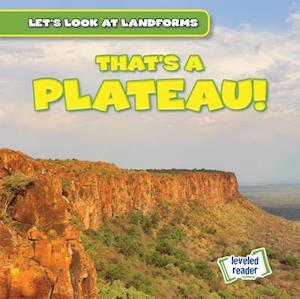 That's a Plateau!