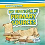 My First Look at Primary Sources