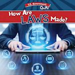 How Are Laws Made?