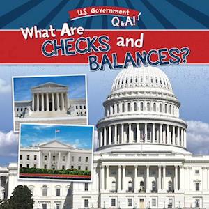 What Are Checks and Balances?