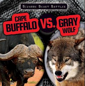 Cape Buffalo vs. Gray Wolf