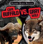 Cape Buffalo vs. Gray Wolf
