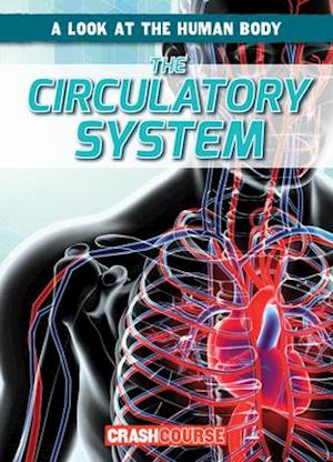 The Circulatory System