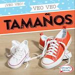 Veo veo tamaños (I Spy Sizes)