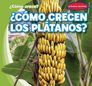 ¿Cómo crecen los plátanos? (How Do Bananas Grow?)