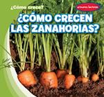 ¿cómo Crecen Las Zanahorias? (How Do Carrots Grow?)