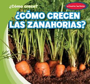 ¿Cómo crecen las zanahorias? (How Do Carrots Grow?)