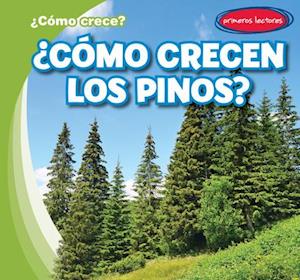 ¿cómo Crecen Los Pinos? (How Do Pine Trees Grow?)