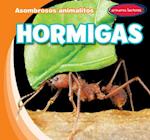 Hormigas (Ants)