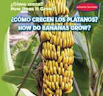 ¿cómo Crecen Los Plátanos? / How Do Bananas Grow?