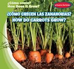 ¿cómo Crecen Las Zanahorias? / How Do Carrots Grow?