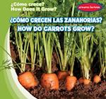 Como crecen las zanahorias? / How Do Carrots Grow?