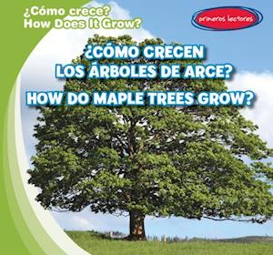 ¿cómo Crecen Los Arces? / How Do Maple Trees Grow?