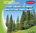 Como crecen los pinos? / How Do Pine Trees Grow?