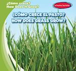 ¿cómo Crece La Hierba? / How Does Grass Grow?