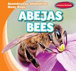 Abejas / Bees