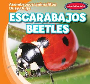 Escarabajos / Beetles