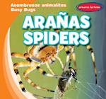 Arañas / Spiders