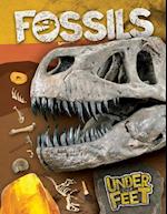 Fossils