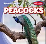 Peacocks