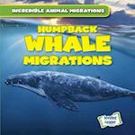 Humpback Whale Migrations