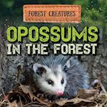 Opossums in the Forest