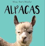 Alpacas