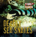 Deadly Sea Snakes