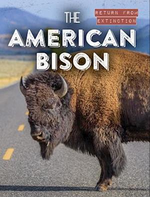 American Bison