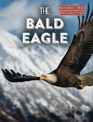 The Bald Eagle