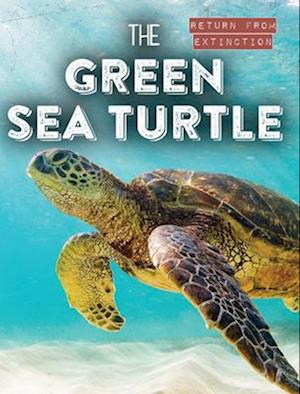 The Green Sea Turtle