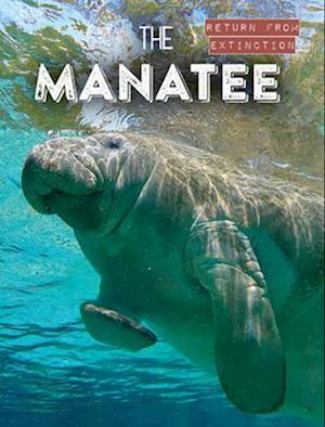 Manatee