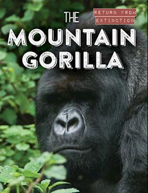 Mountain Gorilla