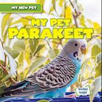 My Pet Parakeet
