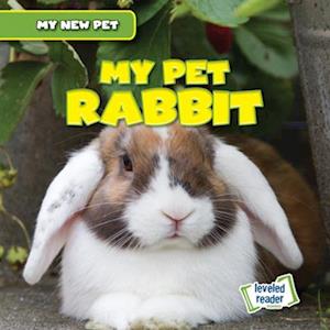 My Pet Rabbit