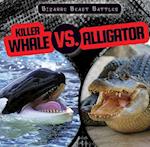 Killer Whale vs. Alligator