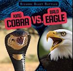 King Cobra vs. Bald Eagle
