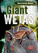 Giant Wetas