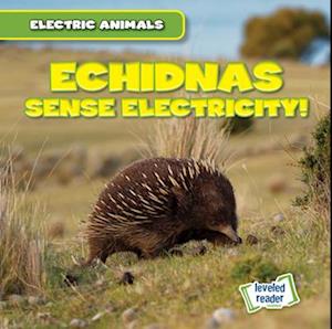 Echidnas Sense Electricity!