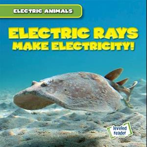 Electric Rays Make Electricity!