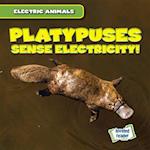 Platypuses Sense Electricity!